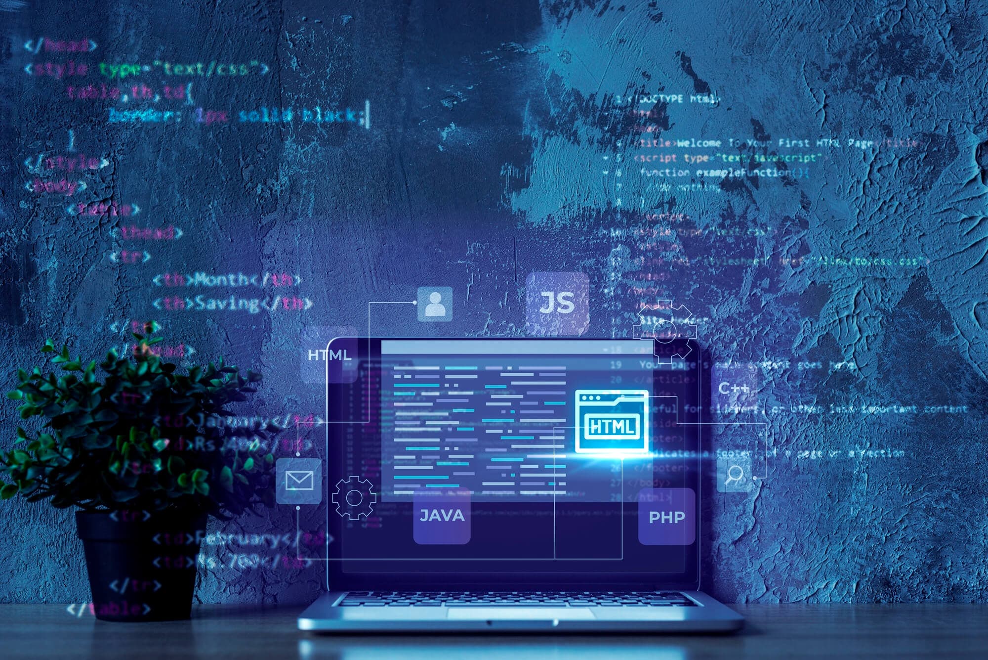 Website Development 